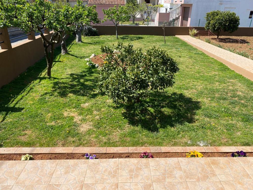 Apartmani Dubravka Bibinje Bagian luar foto